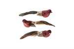 183601 Fugl med klips 3 forskellige pris pr. stk. fra Speedtsberg - Tinashjem